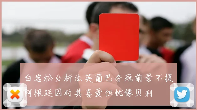 白岩松分析法英葡巴夺冠前景不提阿根廷因对其喜爱担忧像贝利