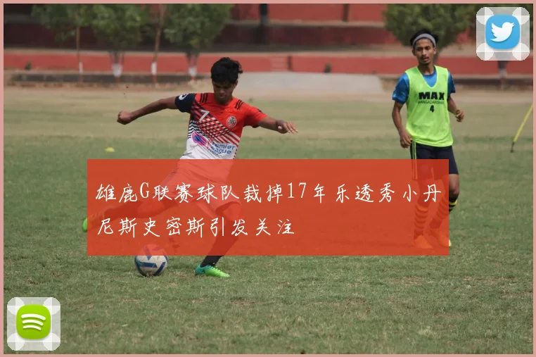 雄鹿G联赛球队裁掉17年乐透秀小丹尼斯史密斯引发关注